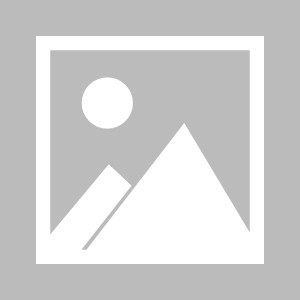 德甲球队多特蒙德向鲁能核心球员报价900万，关于转会的传闻真假难辨
